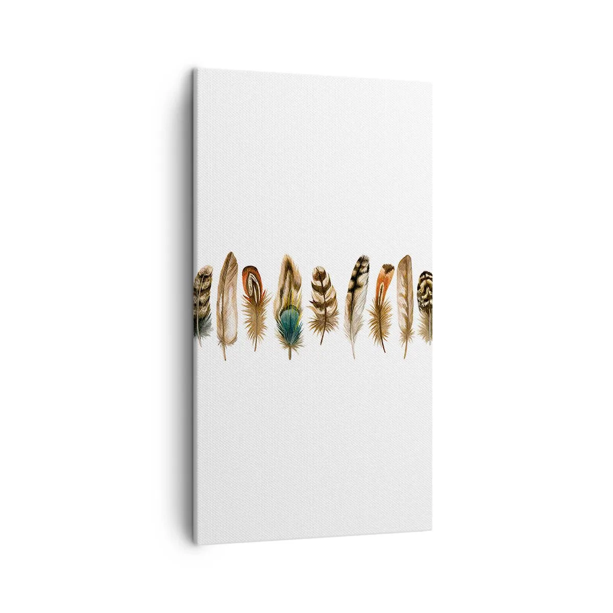 Vászonkép - Tollas variáció - 45x80 cm