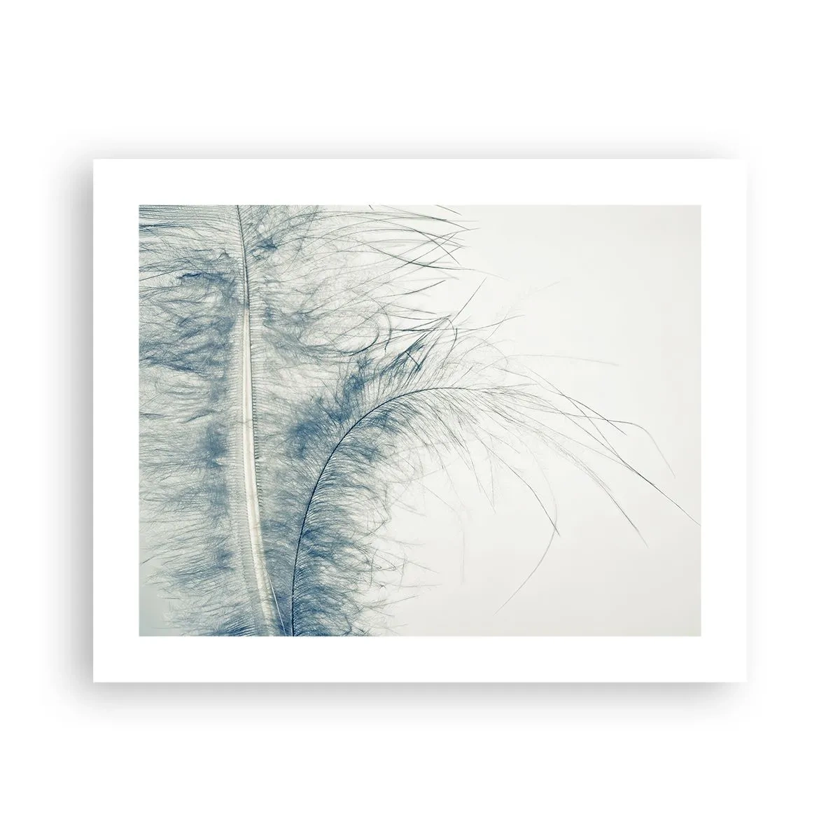 Poszter - A természet suttogása - 50x40 cm