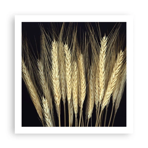 Poszter - Rusztikus varázslat - 60x60 cm