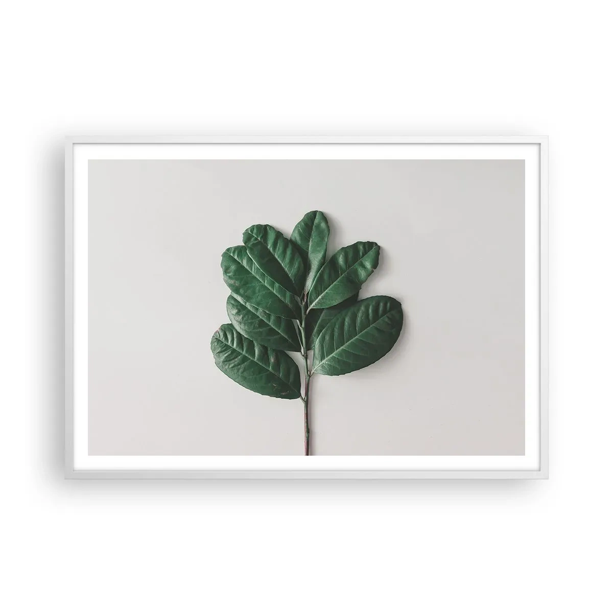 Poszter fekete keretben - Rajz csak a természetről - 100x70 cm