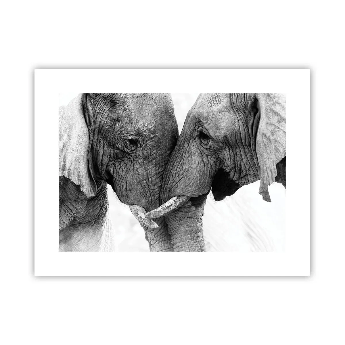 Poszter - Szívélyes vallomás - 40x30 cm