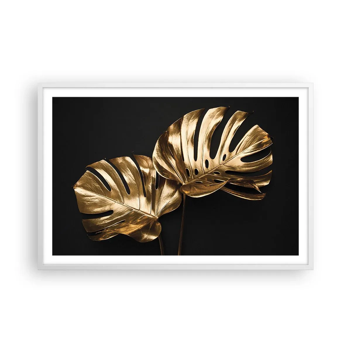 Poszter fekete keretben - A természet kincsei - 91x61 cm