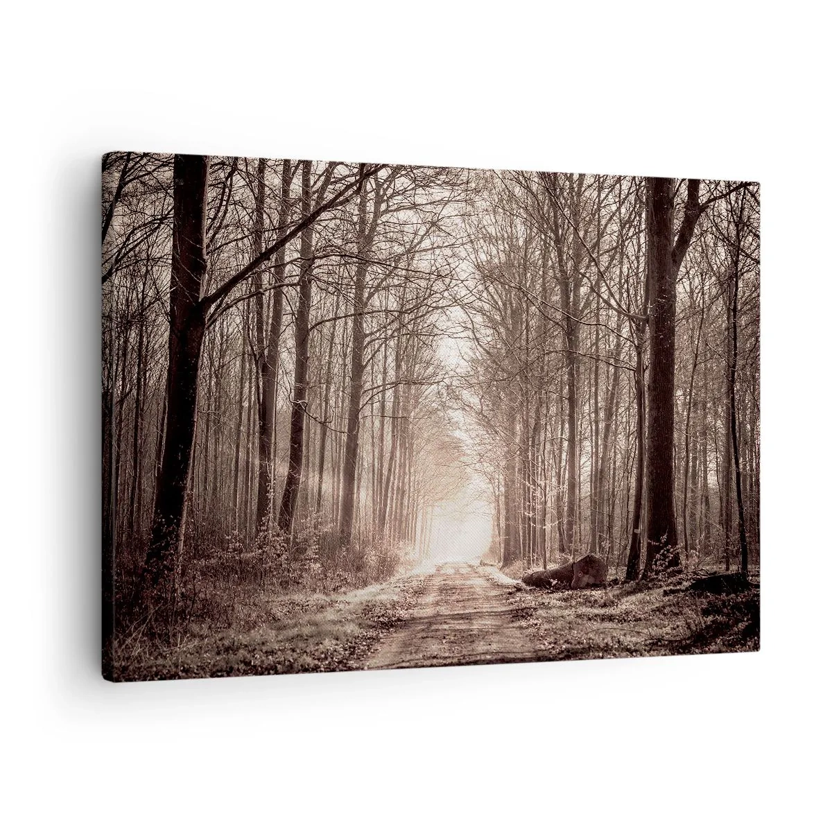 Vászonkép - Erdei ösvény szépiaszínű fák között - 70x50cm - Erdei katedrális - Modern fali dekoráció nappalihoz és hálószobához ARTTOR