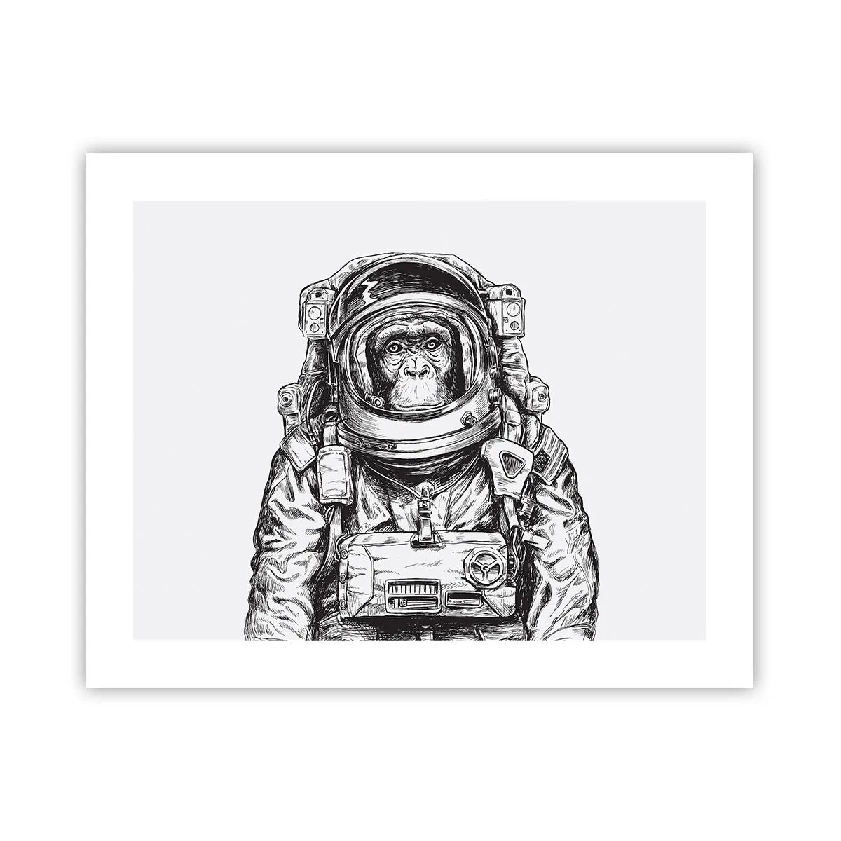 Poszter - Alternatív evolúció - 50x40 cm