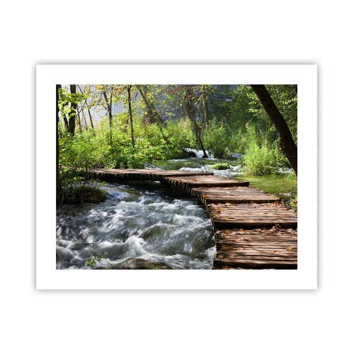 Poszter - A habzó zuhatag felett - 50x40 cm