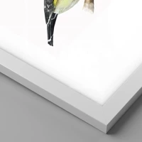 Fehér