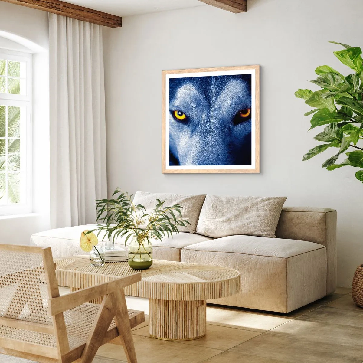 Poszter világos tölgy keretben - Hipnotizáló nézés - 40x40 cm