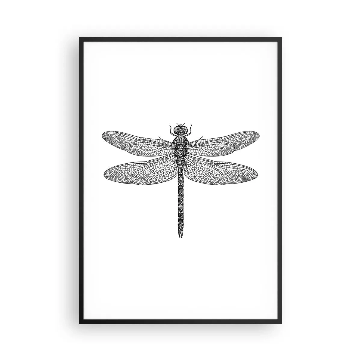 Poszter fehér keretben - A természet precizitása - 70x100 cm