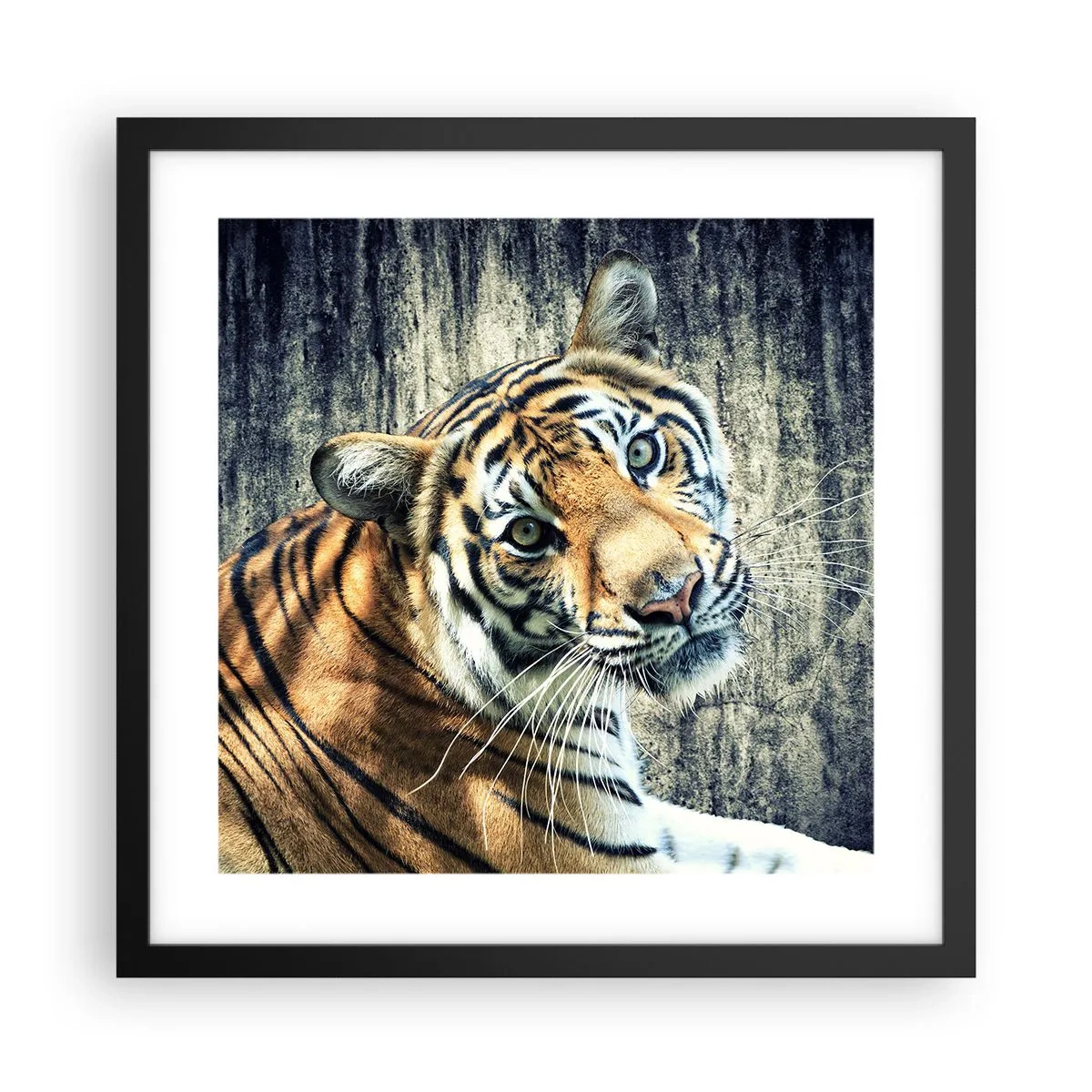 Poszter fehér keretben - Portré a fénysugárban - 40x40 cm