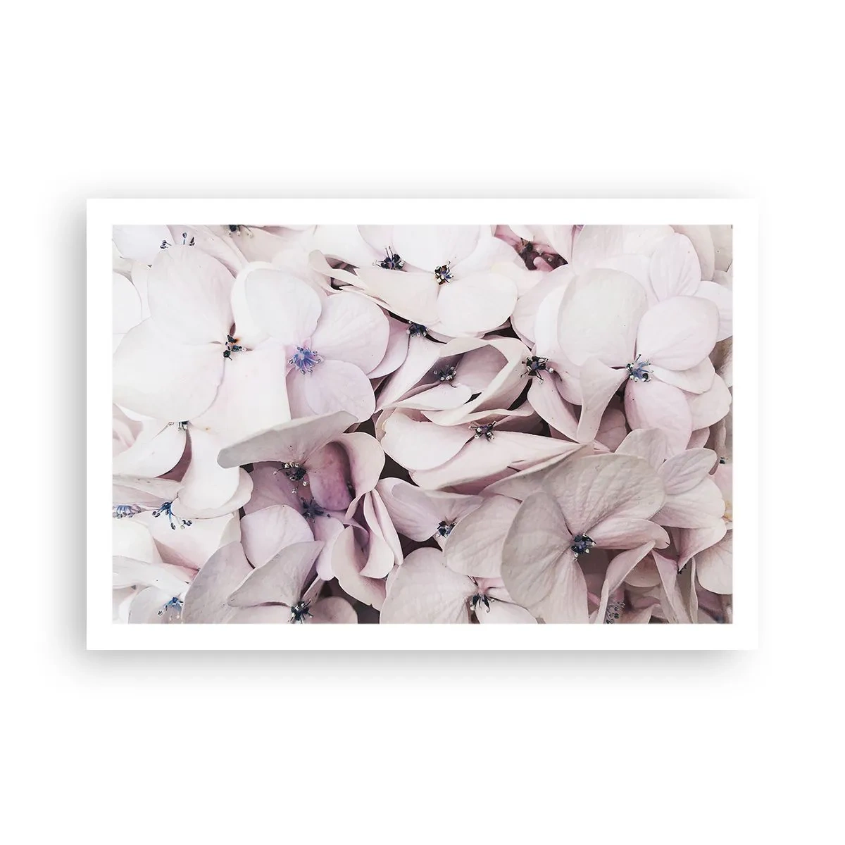 Poszter - A virágok áradatában - 91x61 cm