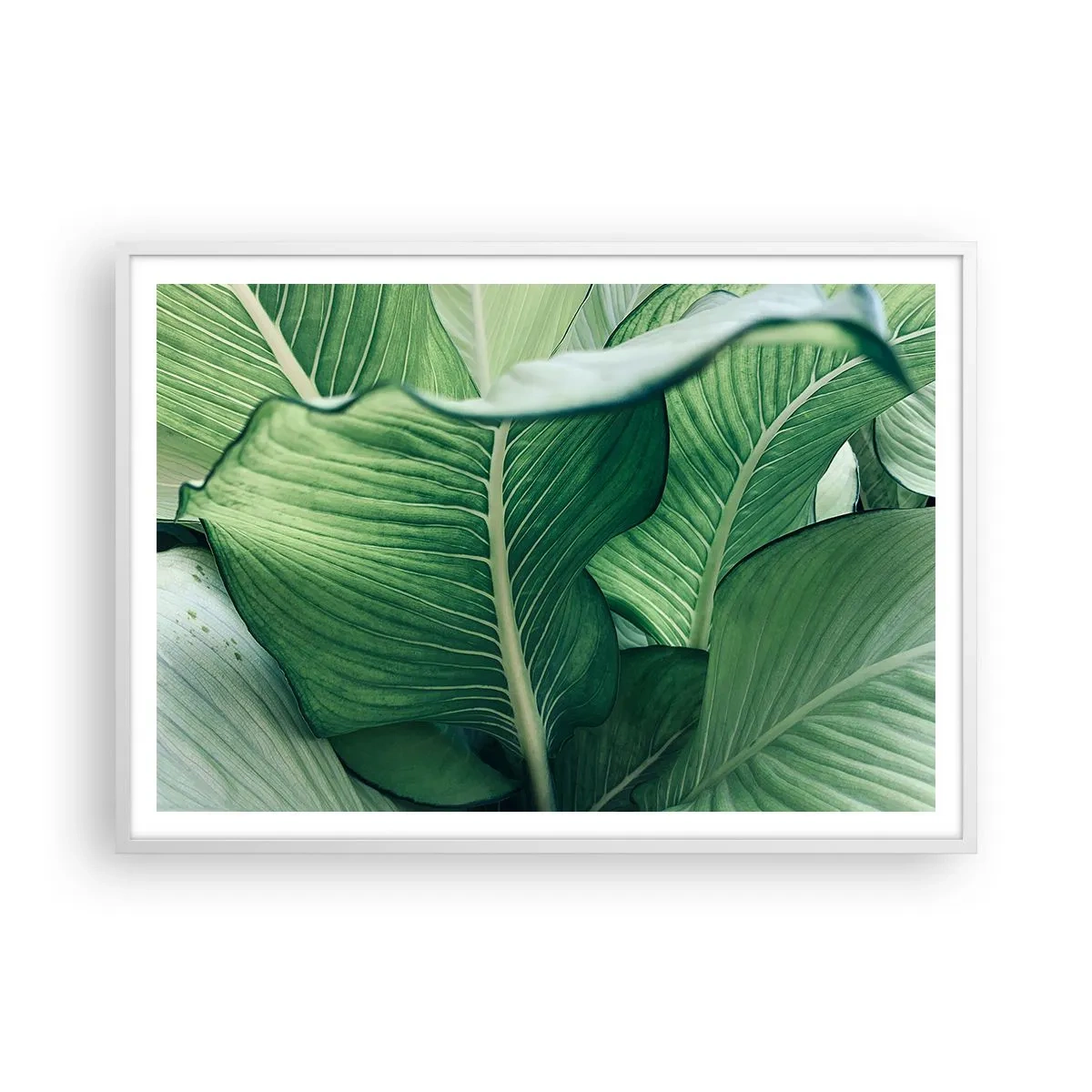 Poszter fekete keretben - Intenzíven zöld élet - 100x70 cm