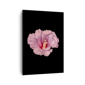 Vászonkép - Egyenesen a szív felé - 50x70 cm