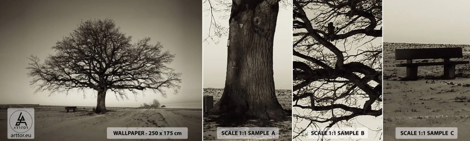 Fotótapéta Minta Öntapadós Deluxe Sticker - Innen az örökkévalóságig - Tájkép, Fa, Természet - 100x30 cm