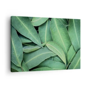 Vászonkép - Zöld levelek közeli képe, amelyek természetes mintázatot hoznak létre - 70x50cm - Lédús és friss - Modern fali dekoráció nappalihoz és hálószobához ARTTOR