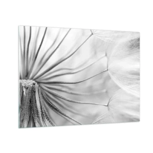 Üveg kép - Makrófotózás egy pitypangról fekete-fehér árnyalatokban - 70x50cm - Pitypang, papírsárkány - Modern fali dekoráció nappalihoz és hálószobához ARTTOR