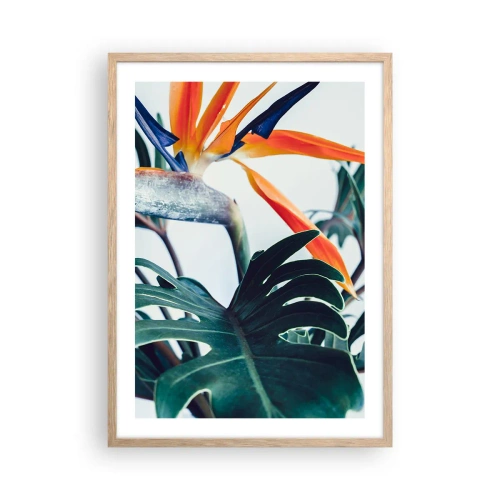 Poszter világos tölgy keretben - Madárkalitka - 50x70 cm