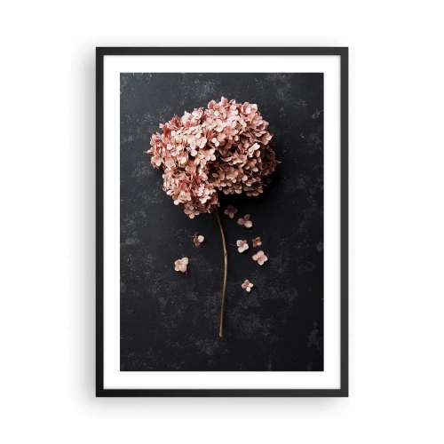 Poszter fehér keretben - Szárított hortenzia fekete alapon - 50x70cm - Egy igazán romantikus jel - Modern fali dekoráció nappalihoz és hálószobához ARTTOR
