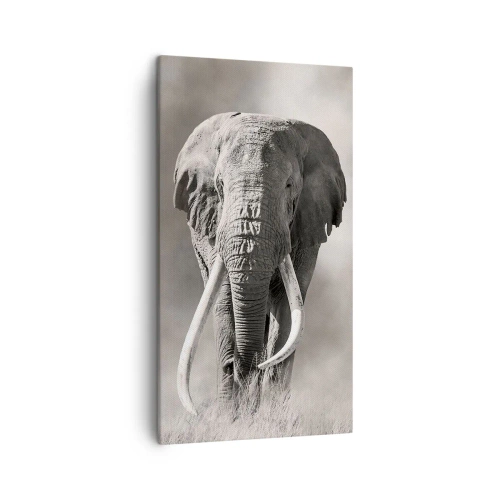 Vászonkép - Afrikai patriarcha - 45x80 cm