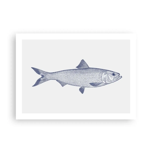 Poszter - Üdvözlet az északi tengerektől - 70x50 cm