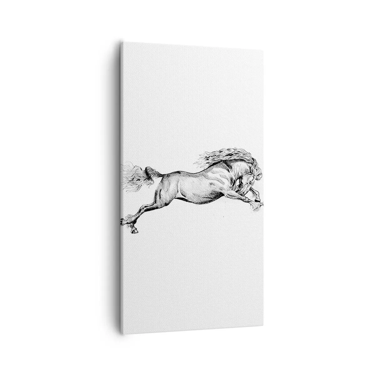 Vászonkép - Vágtában megállítva - 55x100 cm