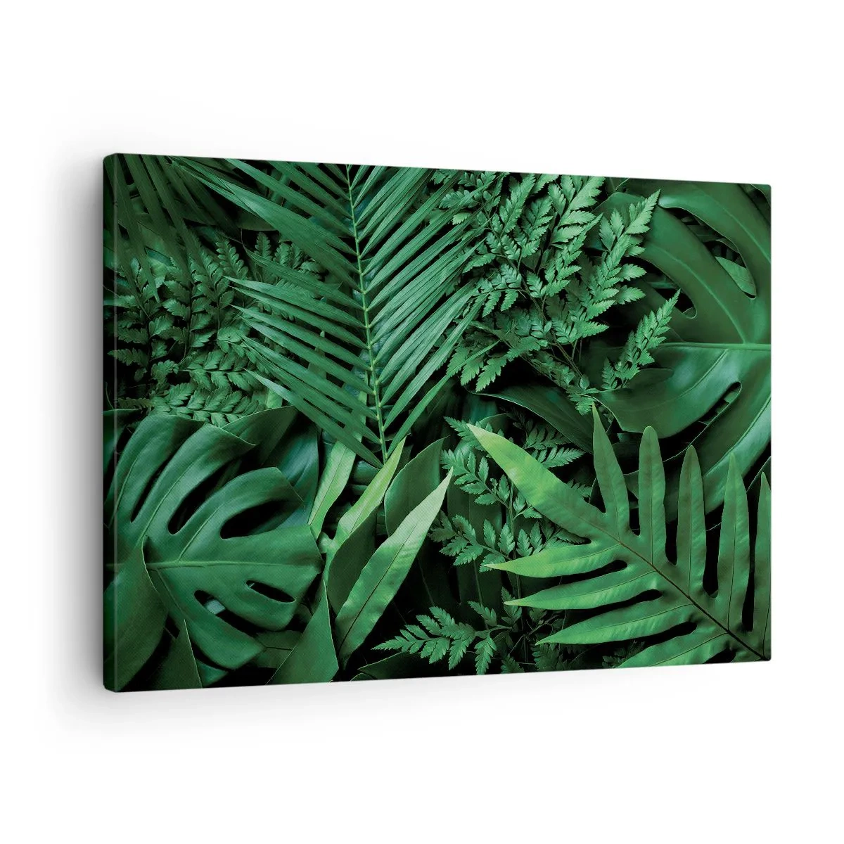 Vászonkép - Zöld trópusi levelek sűrű és természetes összetételben - 70x50cm - Összebújva a zöldben - Modern fali dekoráció nappalihoz és hálószobához ARTTOR