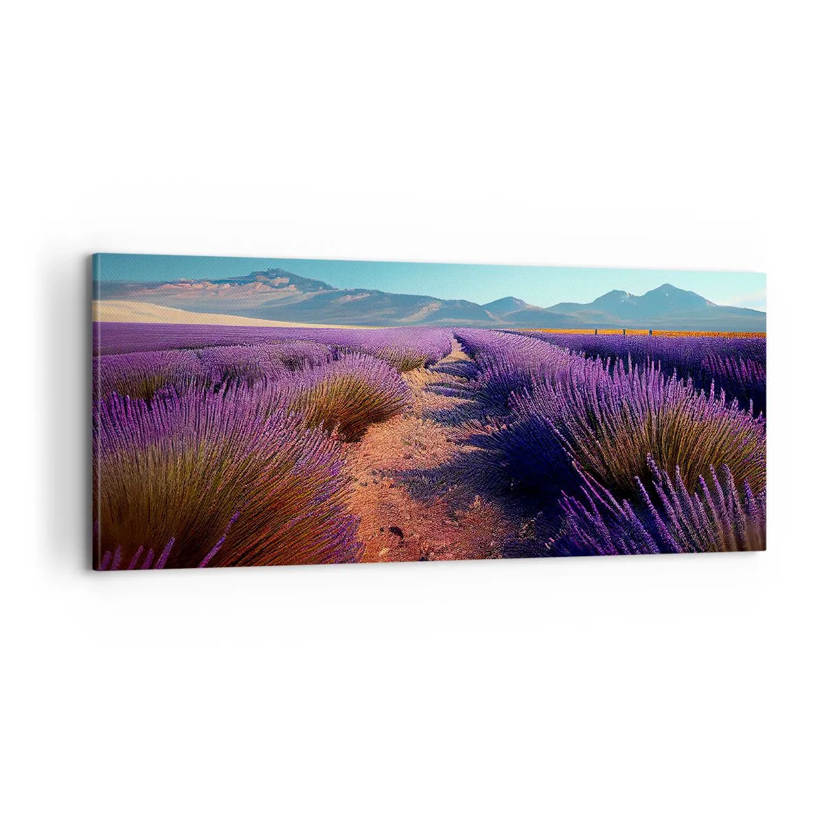 Vászonkép - Illatos mezők - 100x40 cm