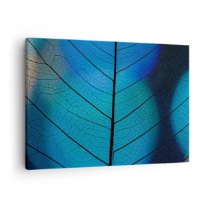 Vászonkép - Közeli kép egy kék levélről, látható erezetrészletekkel - 70x50cm - Bonyolult konstrukció - Modern fali dekoráció nappalihoz és hálószobához ARTTOR