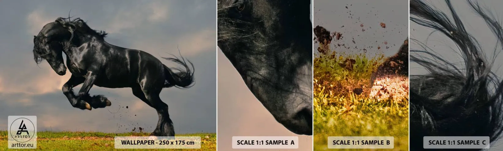 Fotótapéta Minta Öntapadós Deluxe Sticker - Gyönyörű és szabad - Állatok, Ló, Tájkép - 100x30 cm