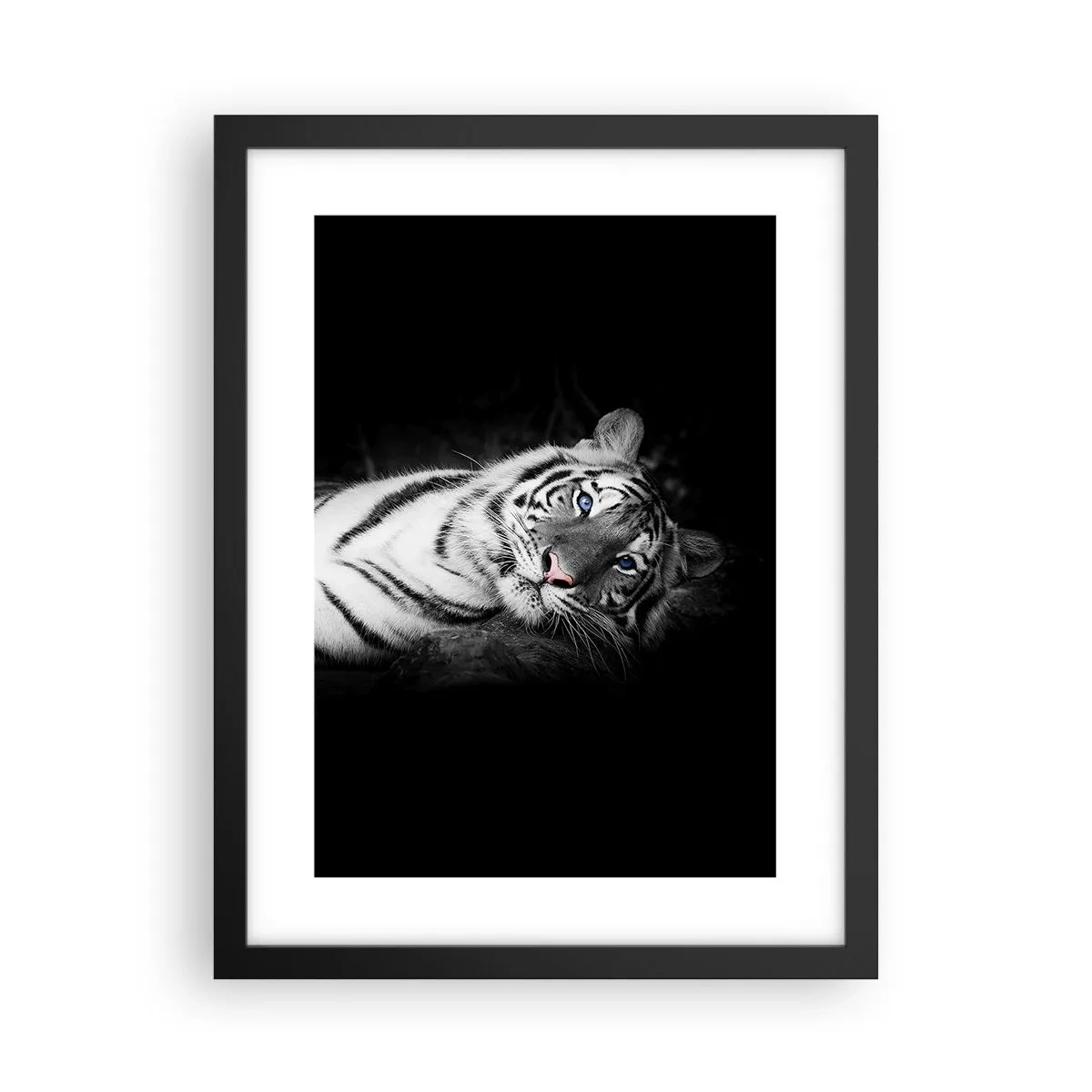 Poszter fehér keretben - Vadság és nyugalom - 30x40 cm