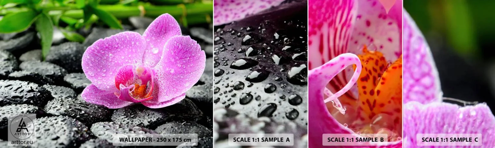 Fotótapéta Minta Standard Eco - Mint egy nyitott szív - Virágok, Orchidea, Orchidea - 100x30 cm