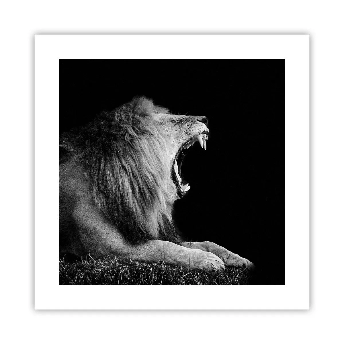 Poszter - Kétség nélkül - 40x40 cm