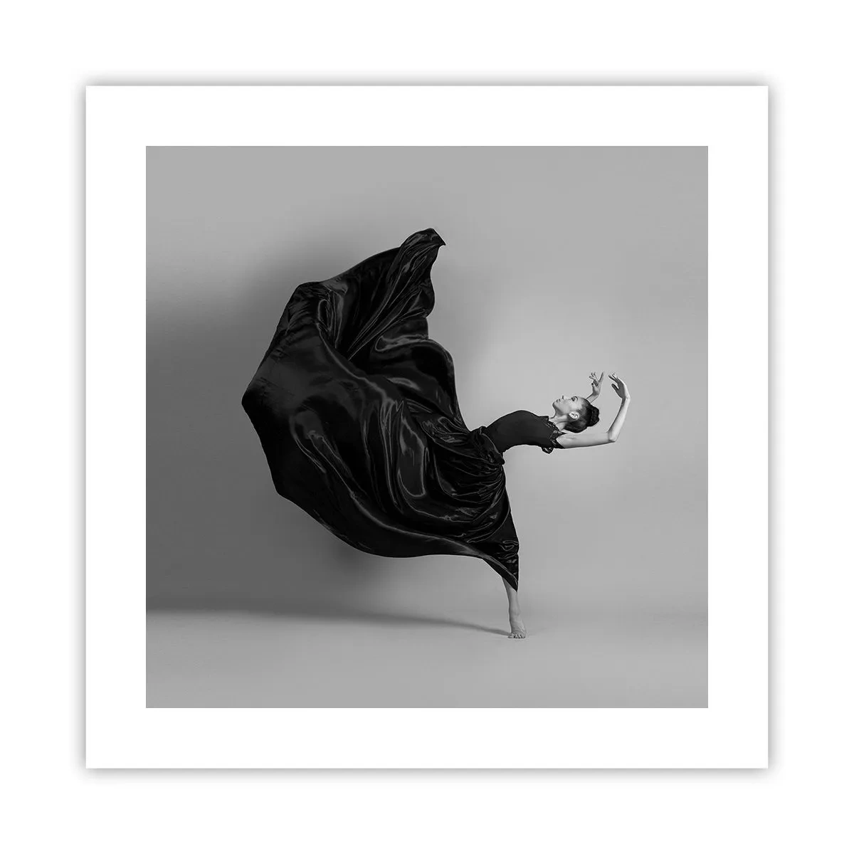 Poszter - Szárnyas zene - 40x40 cm