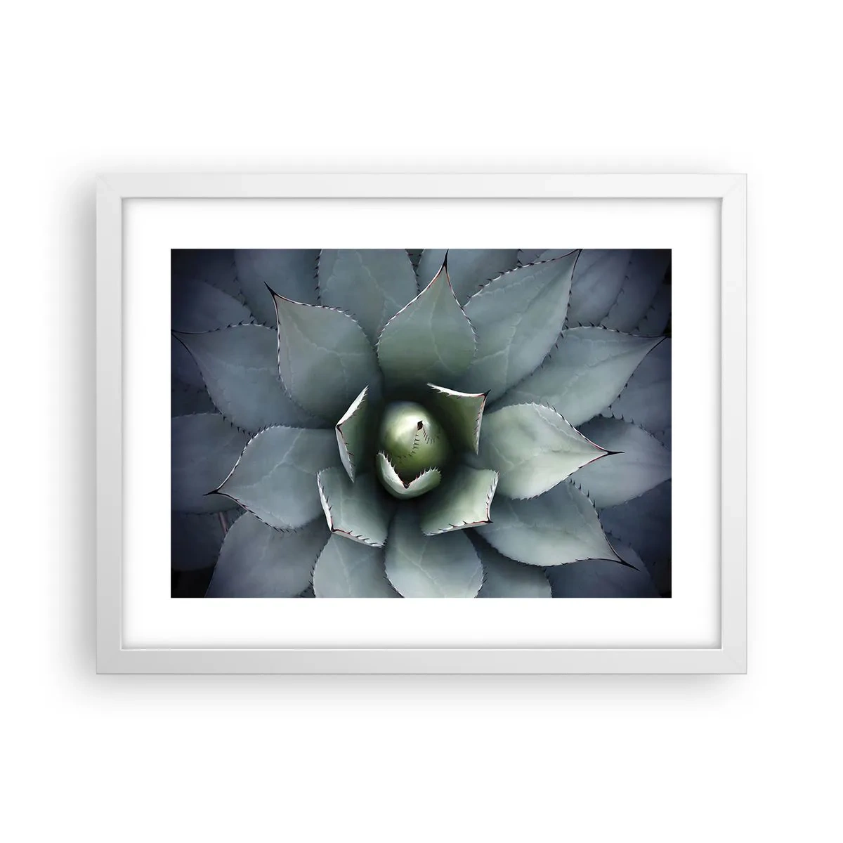 Poszter fekete keretben - Wabi és figyelmeztetés - 40x30 cm