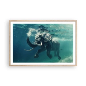 Poszter világos tölgy keretben - Mindenki szeret úszni - 91x61 cm