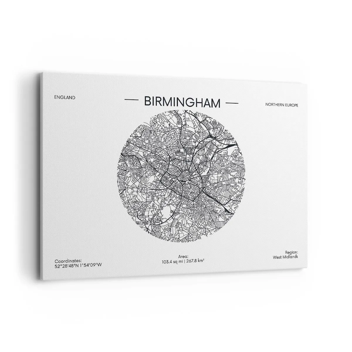 Vászonkép - Birmingham anatómiája - 100x70 cm