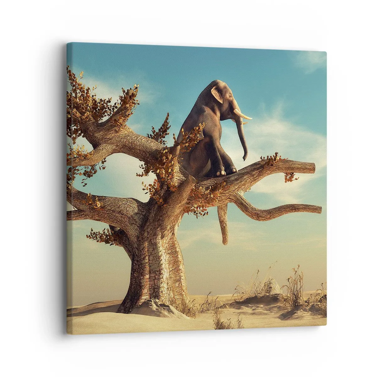 Vászonkép - Egy új nézőpont - 30x30 cm