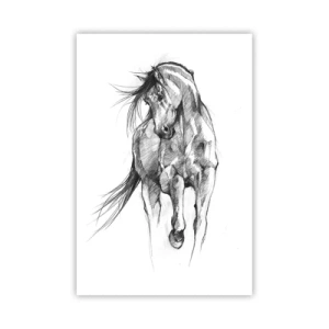 Poszter - Kecses ügetésben - 61x91 cm