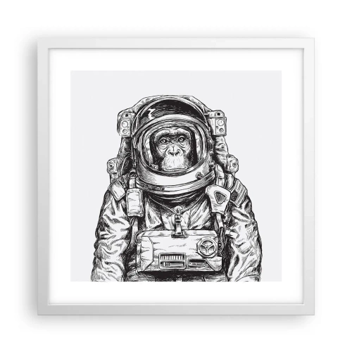 Poszter fekete keretben - Alternatív evolúció - 40x40 cm