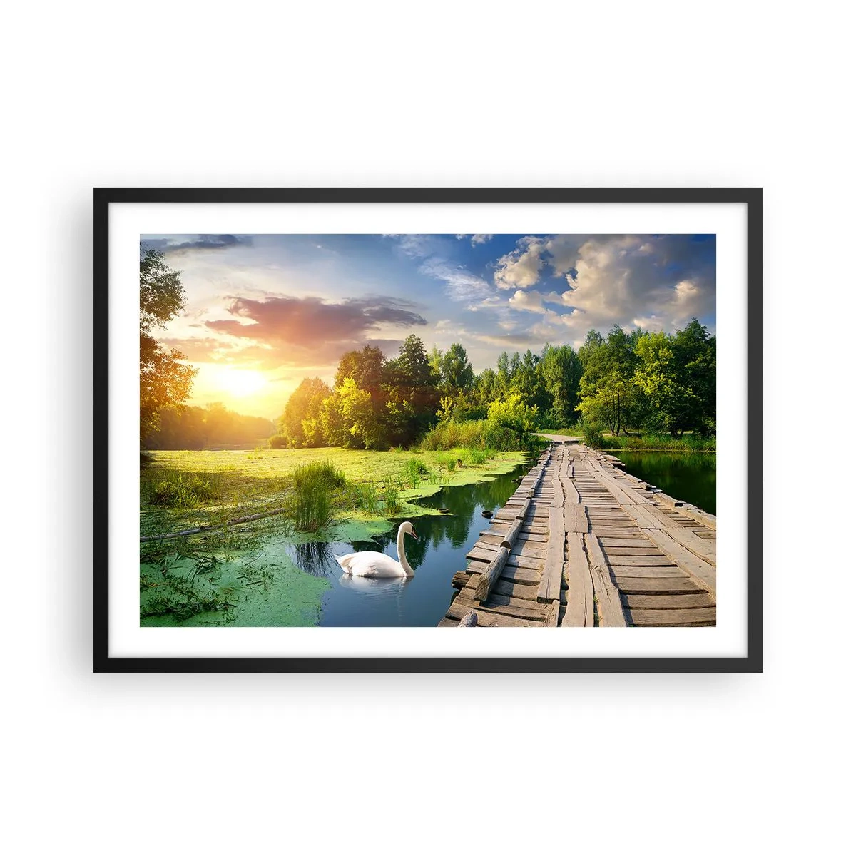 Poszter fehér keretben - Nyár, mindenhol nyár - 70x50 cm