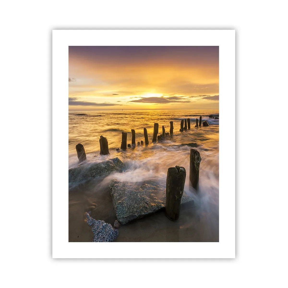 Poszter - A Balti-tenger nyers szépsége - 40x50 cm