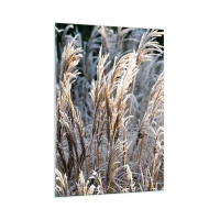 50x70 cm | Függőleges