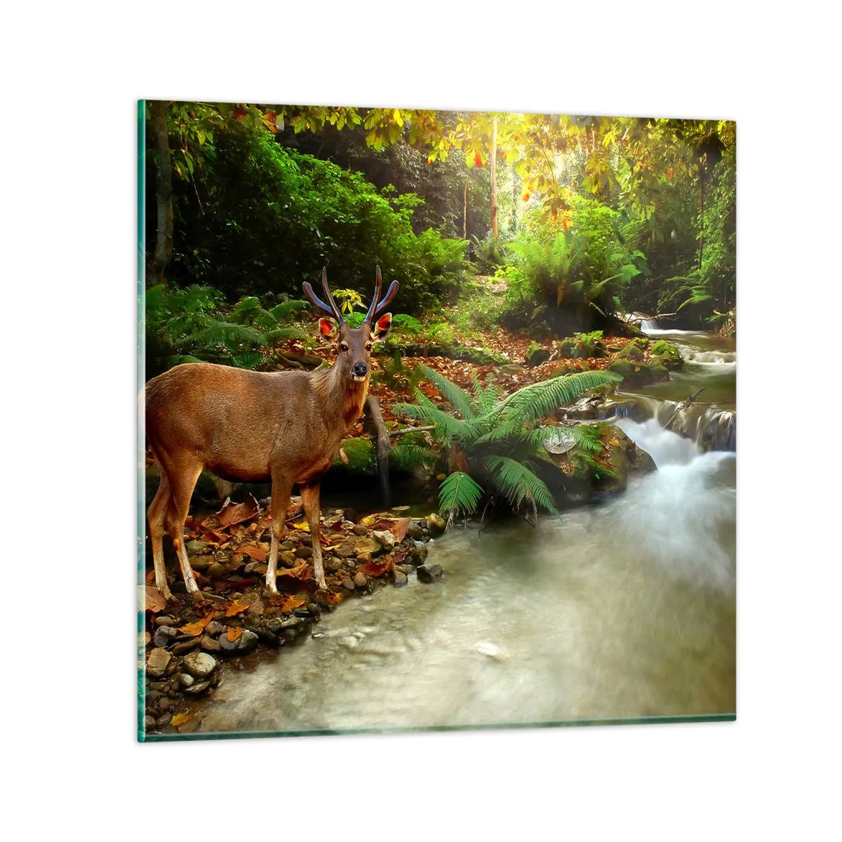 Üveg kép - üdvözöllek a világomban - 60x60 cm