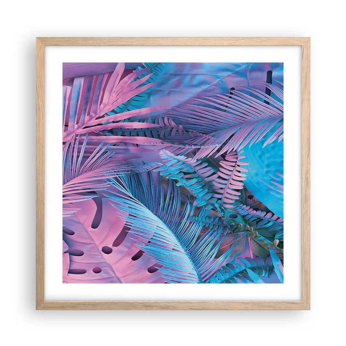 Poszter világos tölgy keretben - Trópusok rózsaszínben és kékben - 50x50 cm
