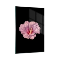 80x120 cm | Függőleges