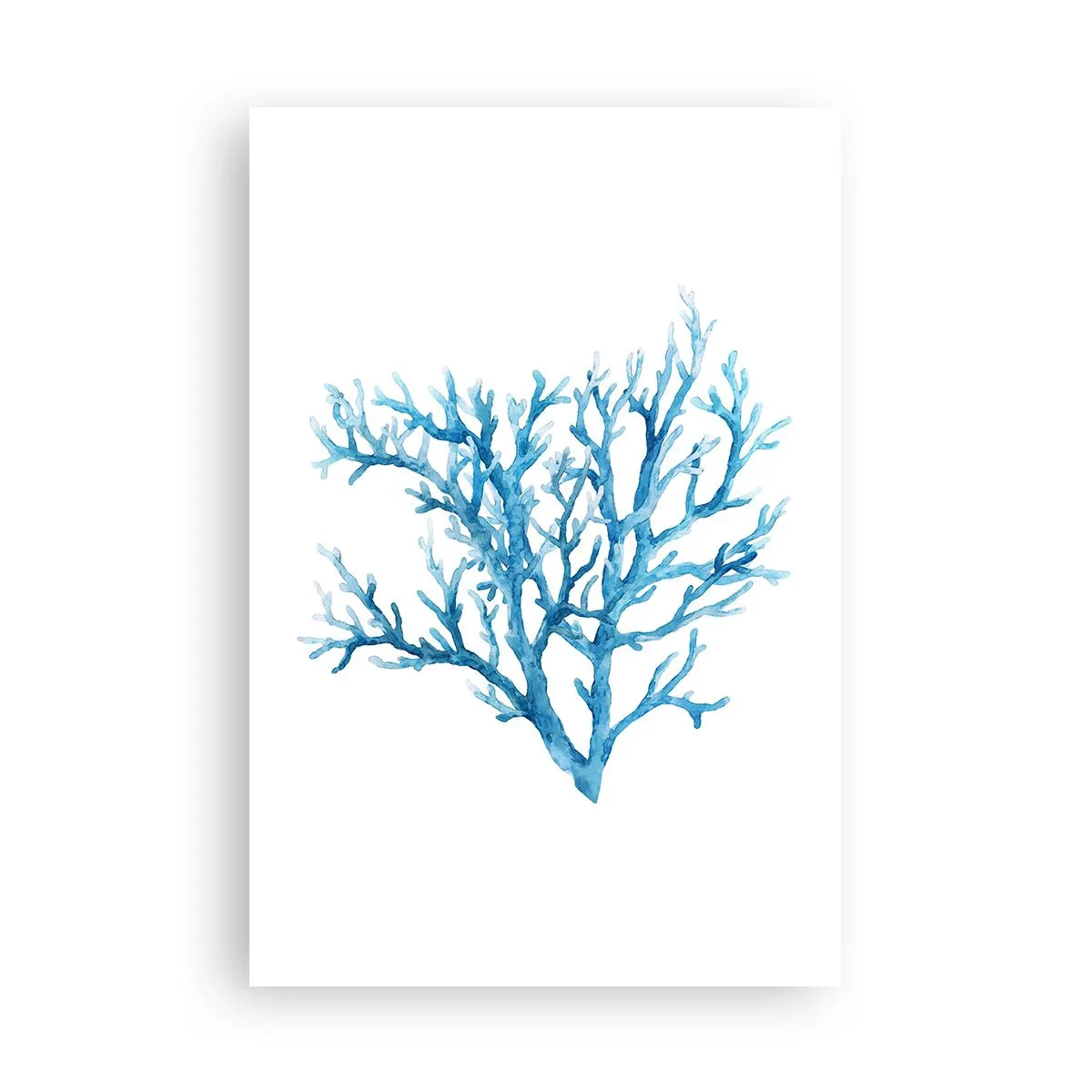 Poszter - Tengeri filigrán - 61x91 cm