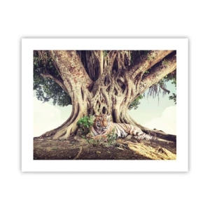 Poszter - Kilátás a Genezis könyvéből - 50x40 cm