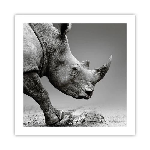 Poszter - Megállíthatatlan erő - 50x50 cm