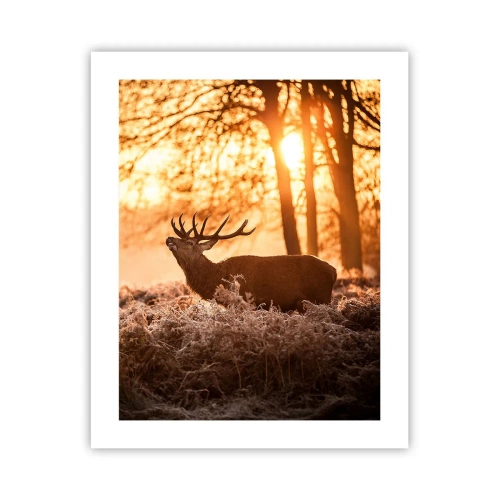 Poszter - Vadász álma - 40x50 cm