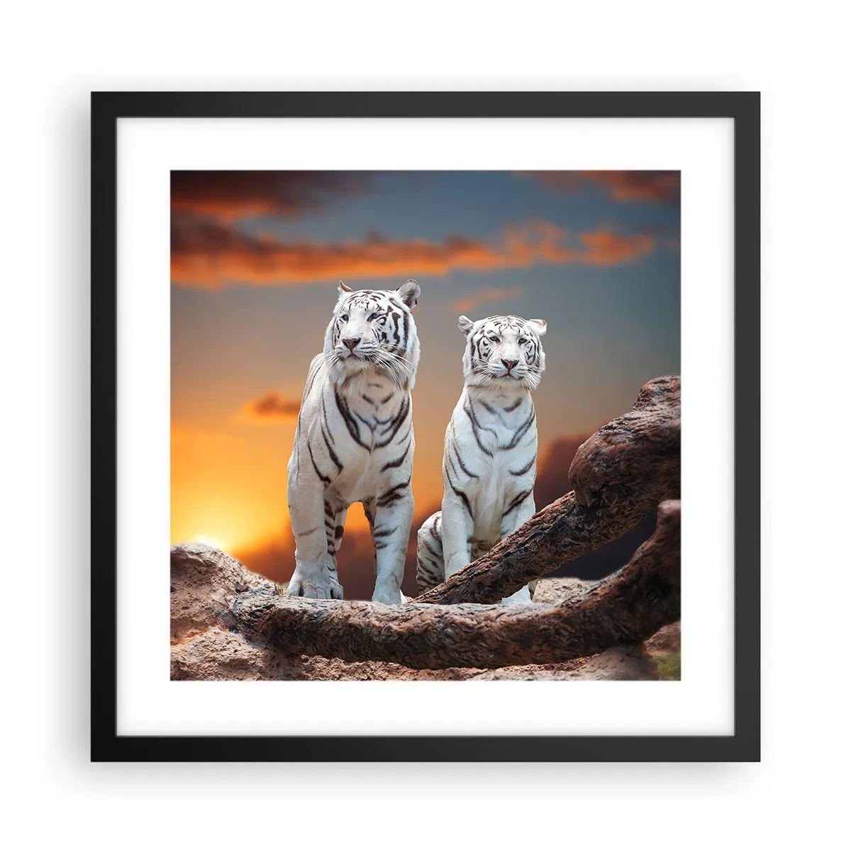 Poszter fehér keretben - Akárcsak Narnia - 40x40 cm