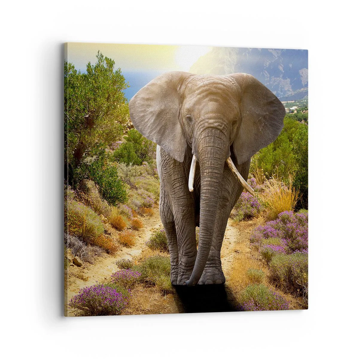 Vászonkép - Így nézett ki Eden - 70x70 cm